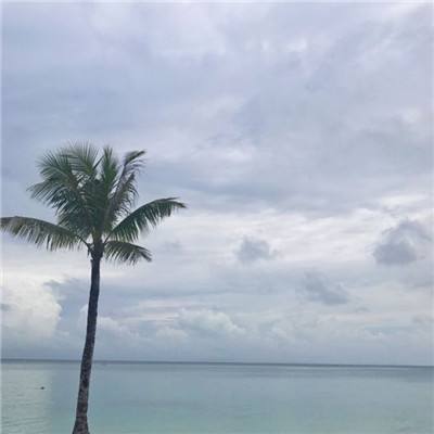 热血沙城最新版下载