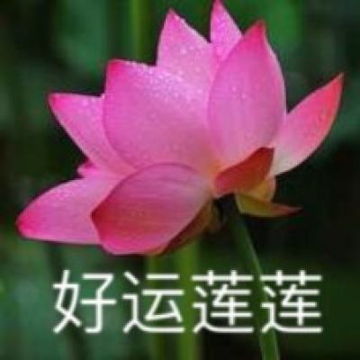 魔法王权九游版手机版下载