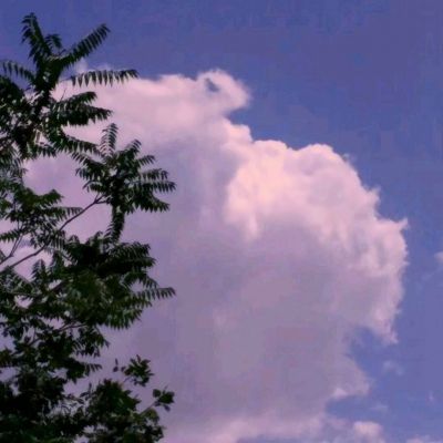 爱情公寓手游九游版下载